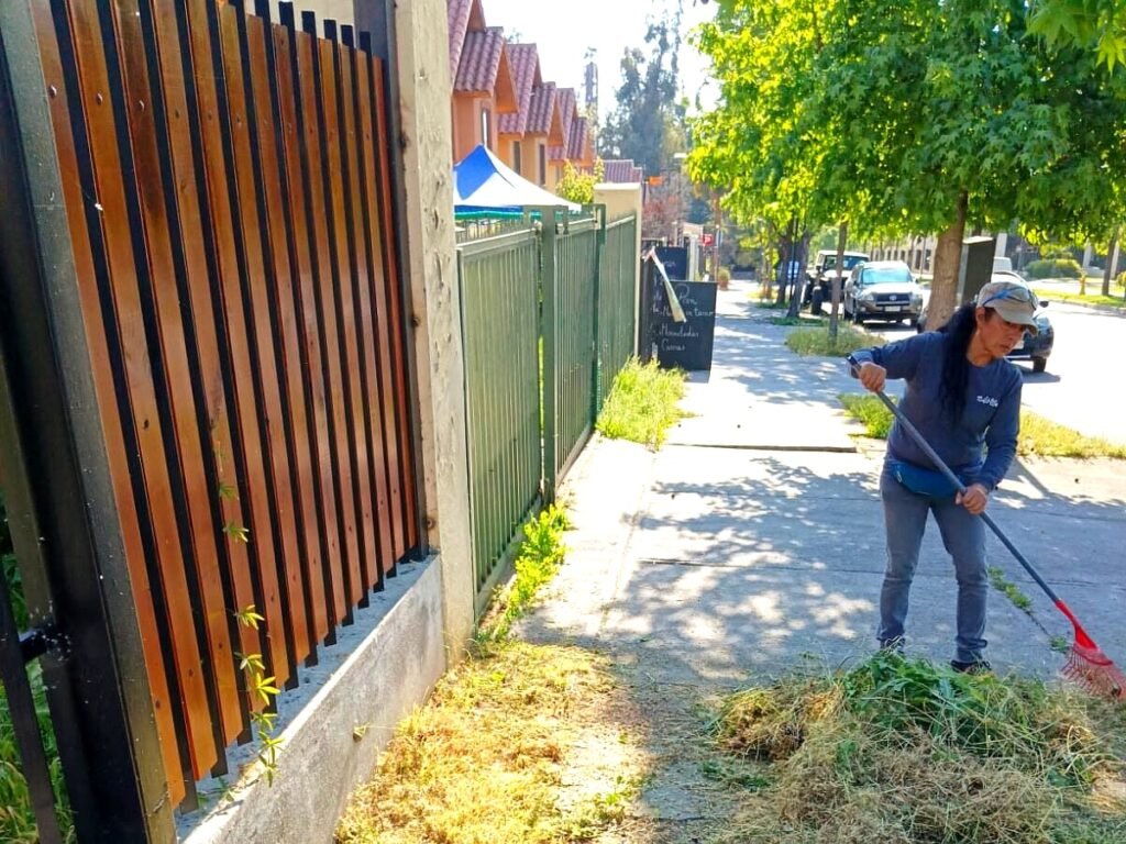 trabajos jardineria 10