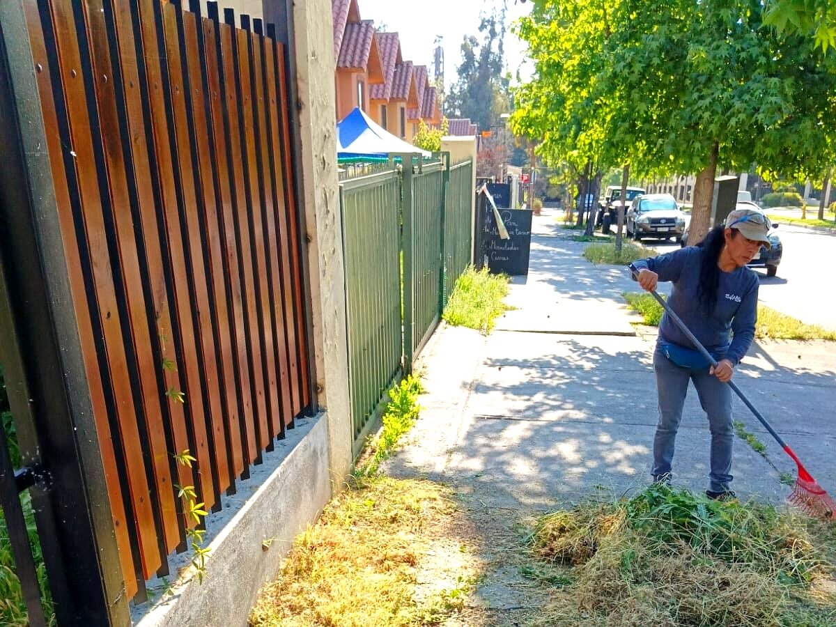 Home trabajos jardineria 10