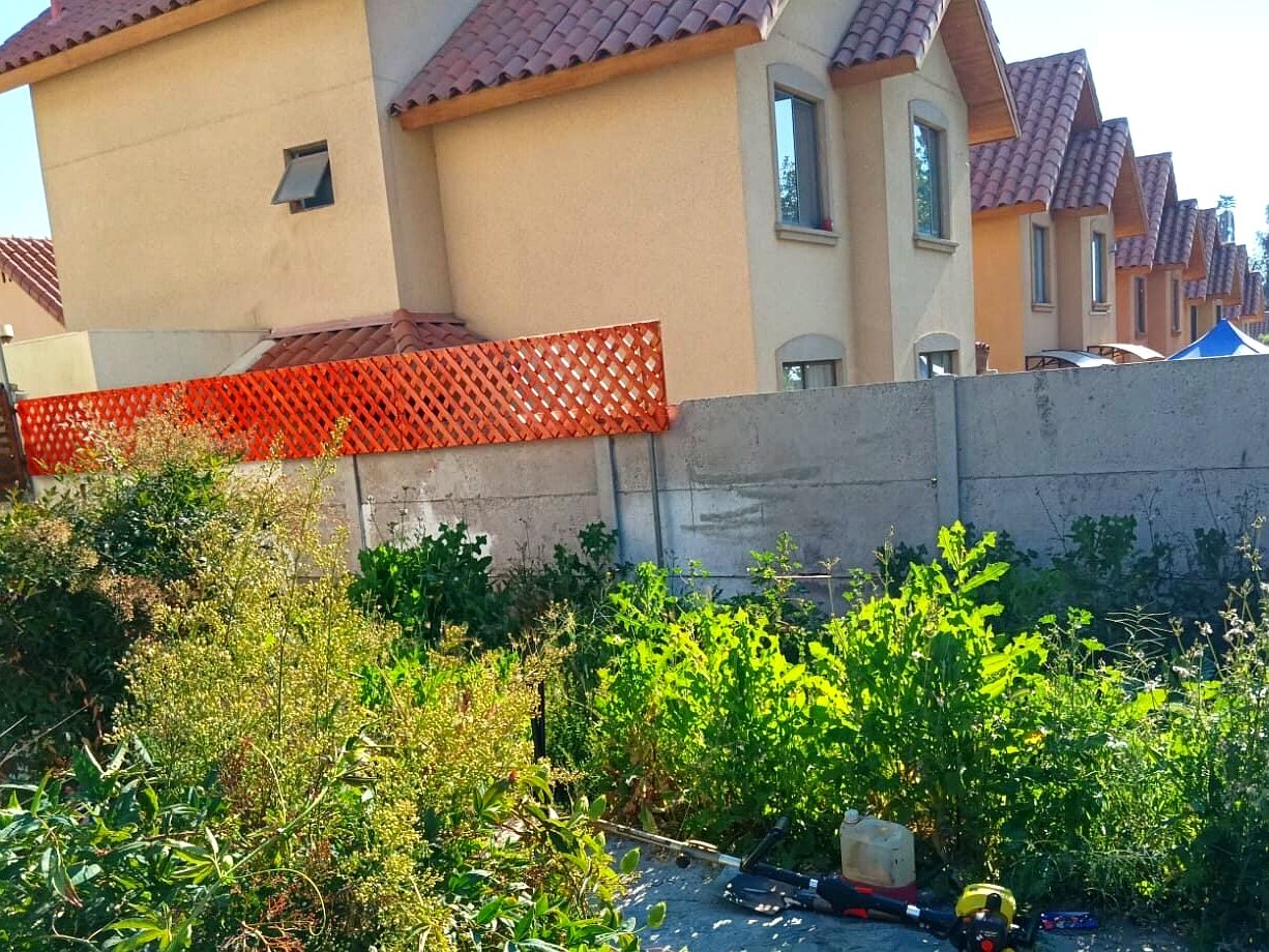 Projects trabajos jardineria 11