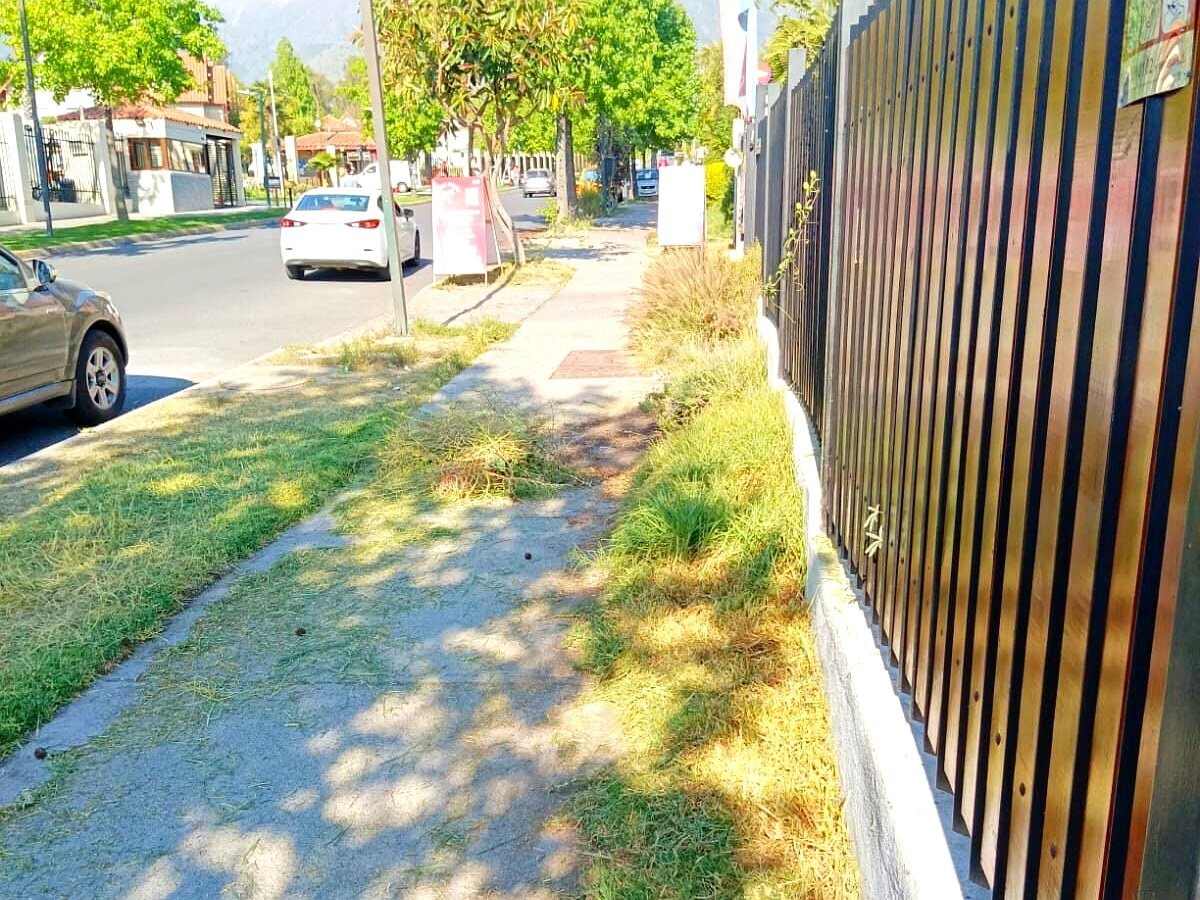 Projects trabajos jardineria 12