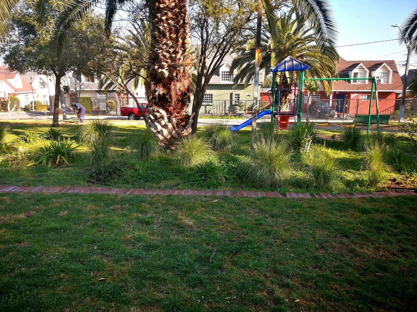 Projects trabajos jardineria 14