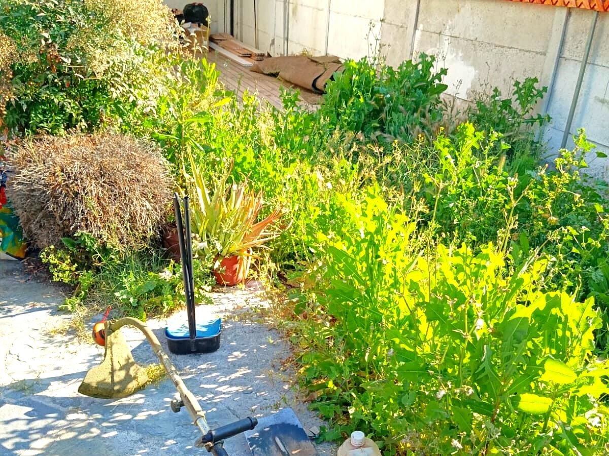 Projects trabajos jardineria 15