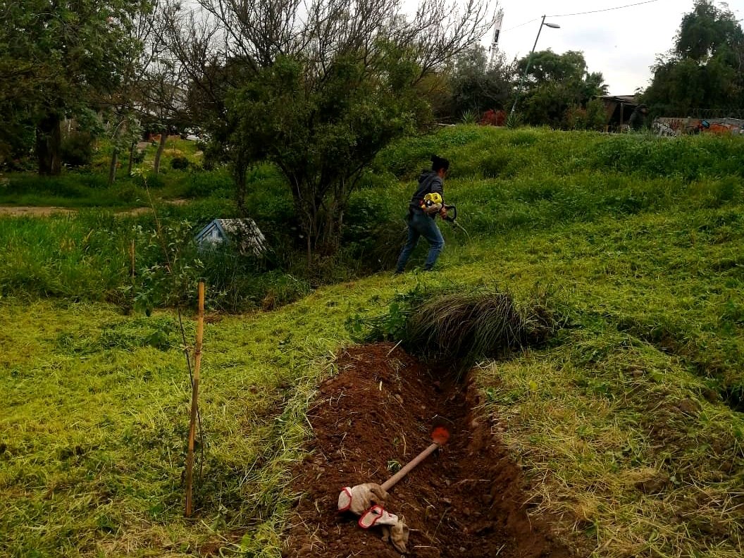 Projects trabajos jardineria 2