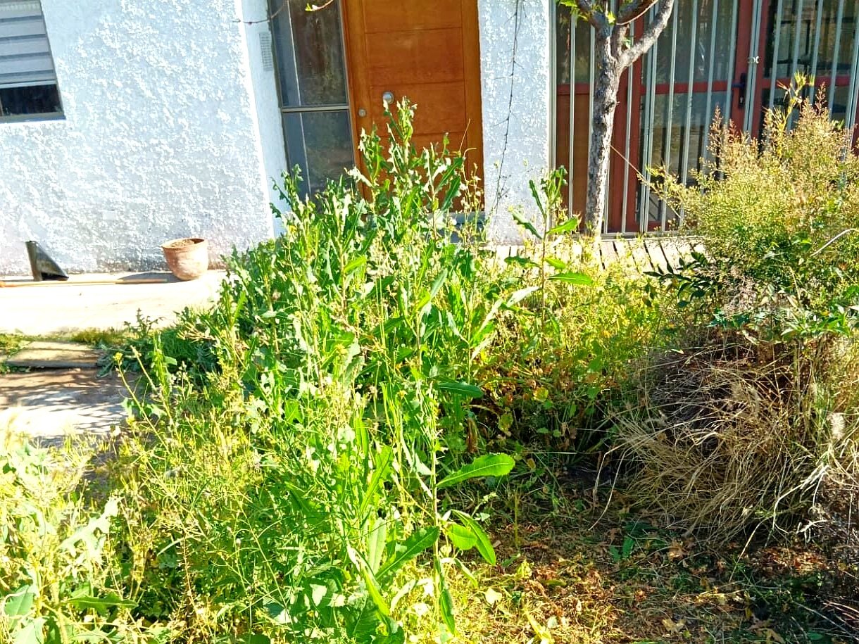 Home trabajos jardineria 22