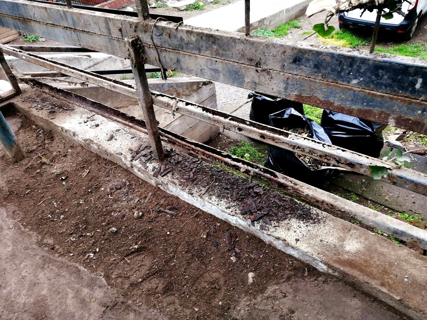 Projects trabajos jardineria 4