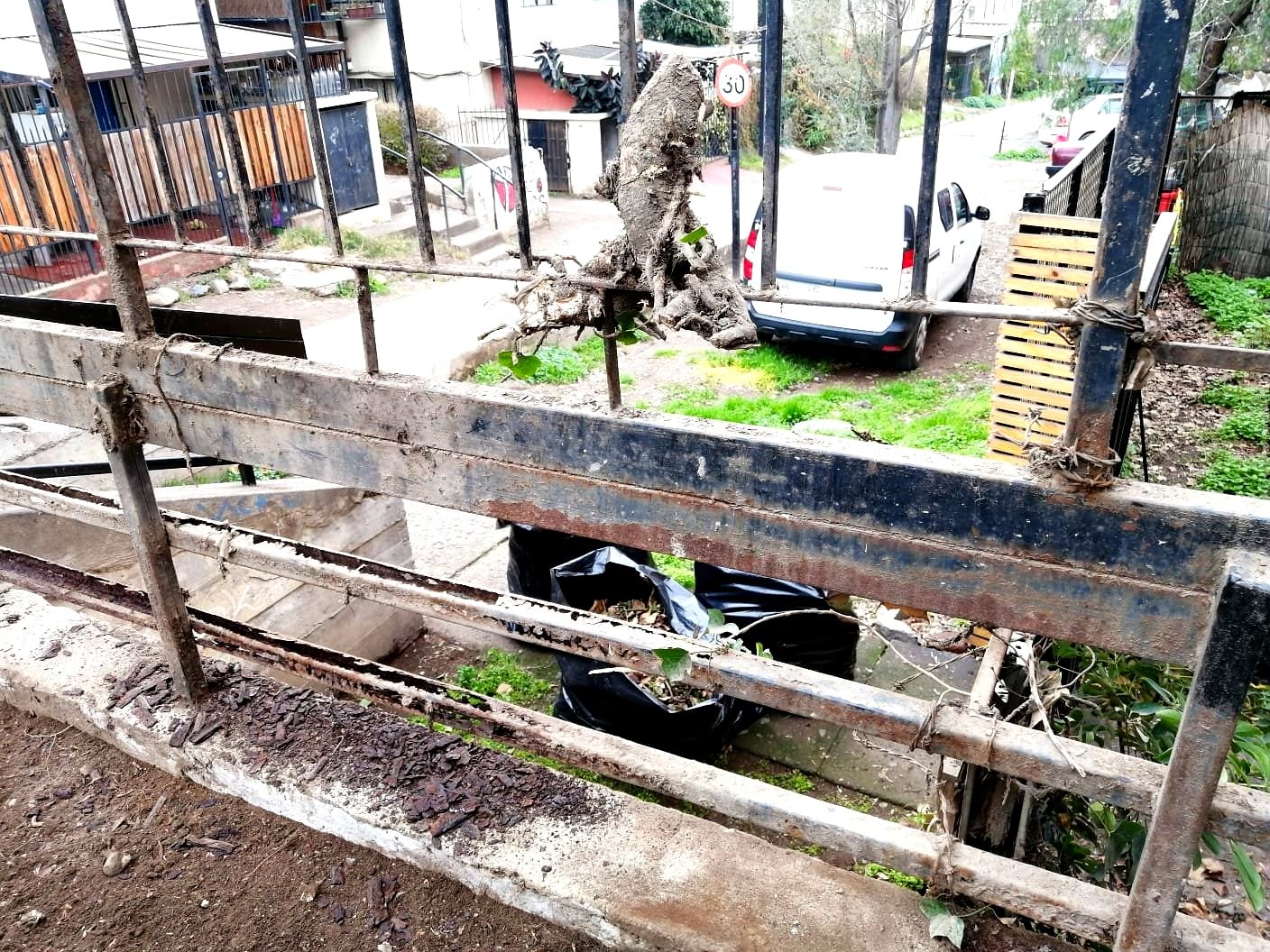 Projects trabajos jardineria 5