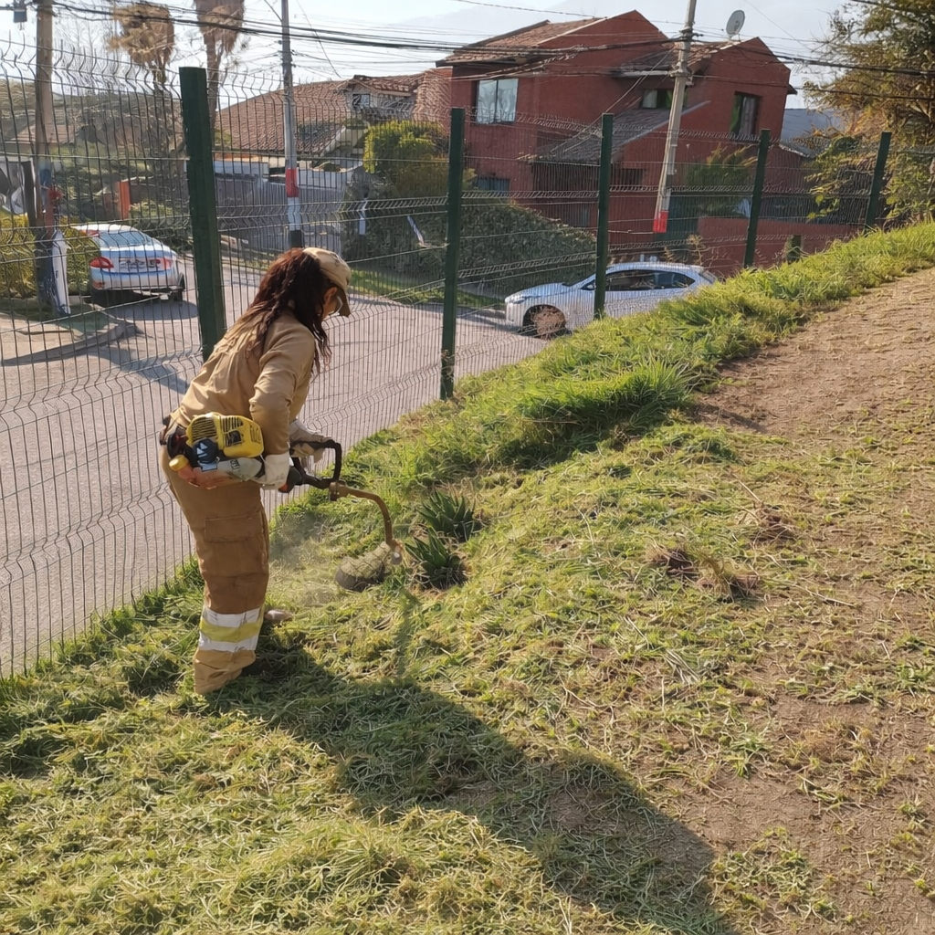 Projects jardineria 29.1