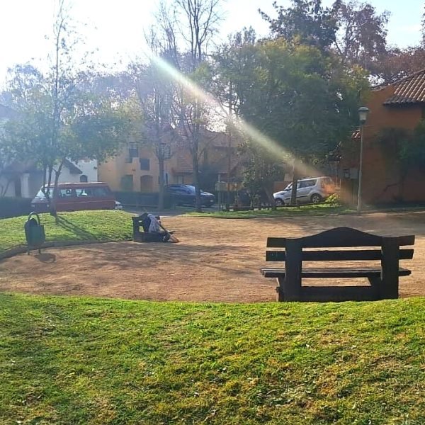 trabajos jardineria 23